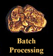Assay Batch Processing